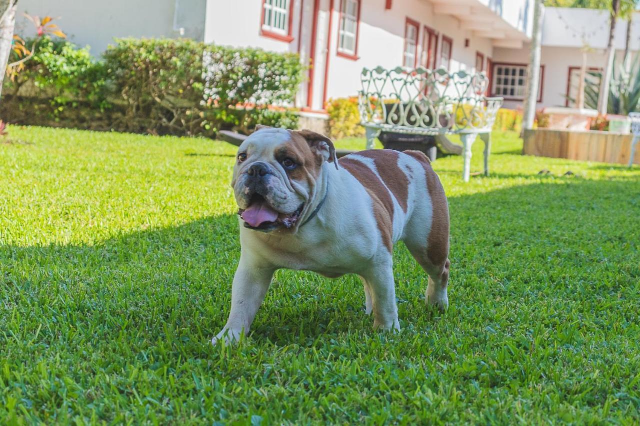 Hotel Lagoon - Pet Friendly Subteniente Lopez Exterior photo